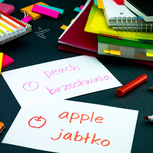 Polish language lessons